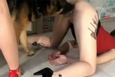 【人兽】姐姐教唆狗狗操自己的妹妹