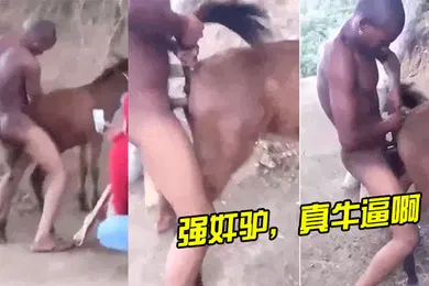 【重口调教】强奸驴真牛逼啊